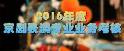 怼逼网国家京剧院2016年度京剧表演专业业务考...